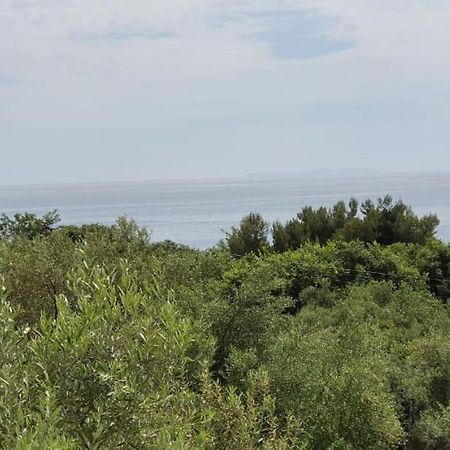 Seaview Apartment ボルシュ エクステリア 写真