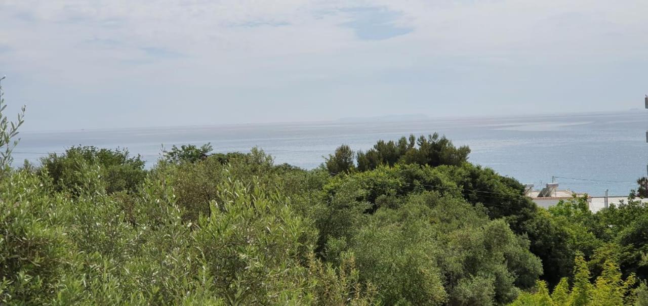 Seaview Apartment ボルシュ エクステリア 写真